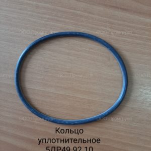 Кольцо уплотнительное 5ДР49.92.10