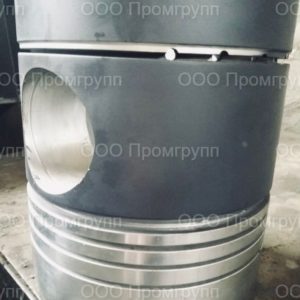Поршень 0210.12.001-4